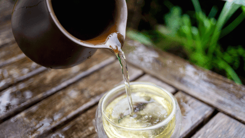 Vietnam Tam Duong Oolong Tee in einer durchsichtigen Teetasse