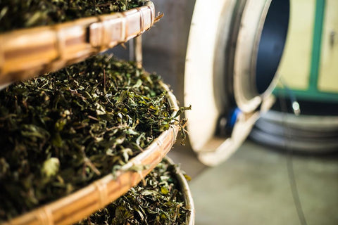 Oolong Tee Zubereitung